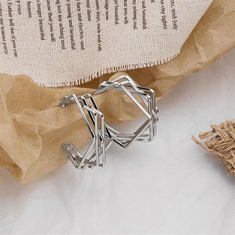 925 Silver Needle Geometric Earrings Women's Simple Indifferent Net Red Temperament Niche High-end Earrings Retro Ear Jewelry