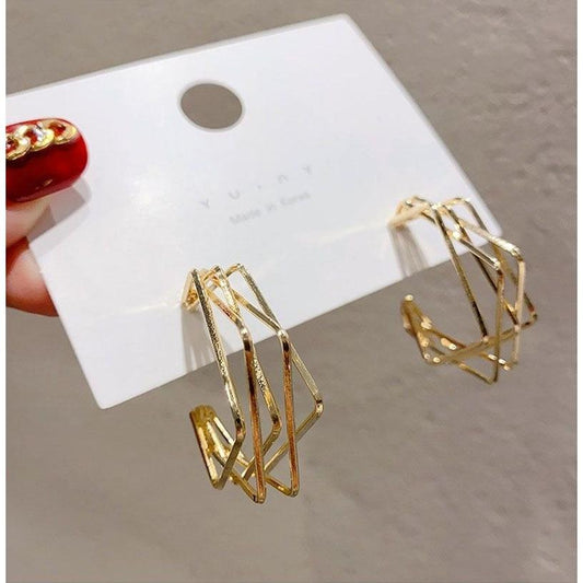 925 Silver Needle Geometric Earrings Women's Simple Indifferent Net Red Temperament Niche High-end Earrings Retro Ear Jewelry