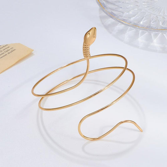 Exaggerated snake-shaped bracelet female retro fashion twisted winding metal small snake arm ring personality cuff