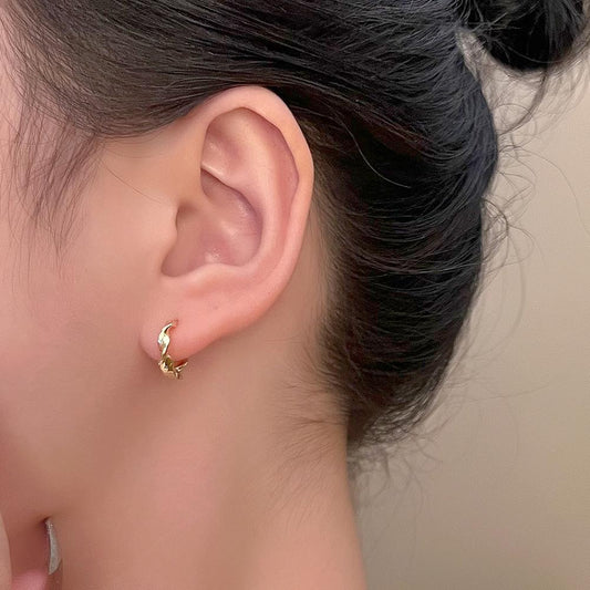 Ins wavy twist earrings female fashion temperament matte irregular geometric earrings simple net red earrings