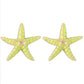 E1841 Jewelry Geometry Heavy Industry Alloy Drip Oil Earrings Starfish Beach Vacation Earrings Female
