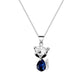 Simple and cold zircon pendant necklace fashion five-pointed star key cat clavicle chain niche design