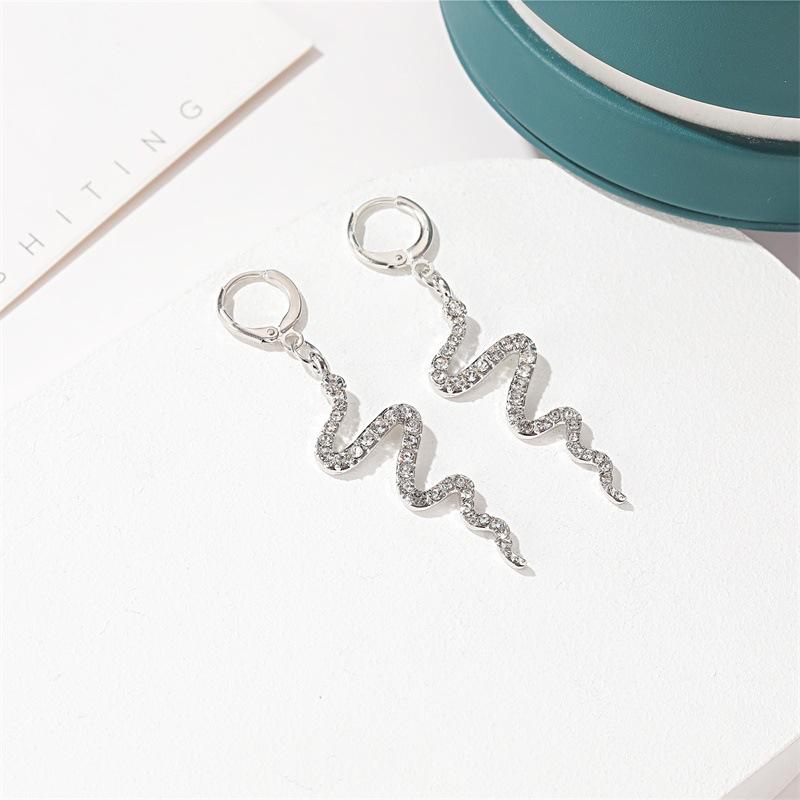Earrings Creative Snake Earrings Women's Frosty Long Diamond Earrings Personality Simple Wave Earrings