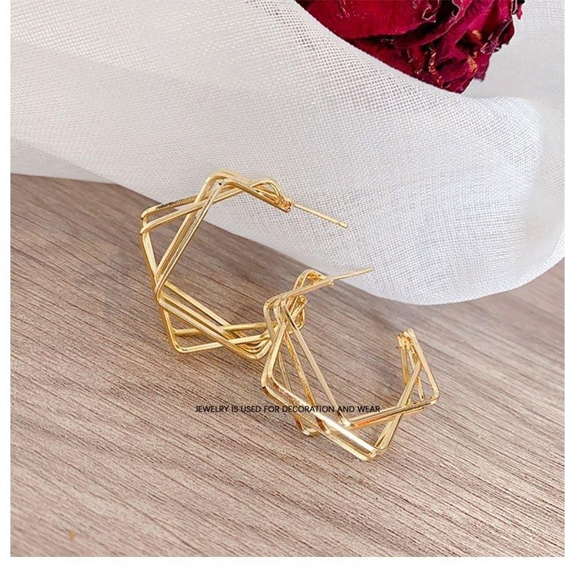 925 Silver Needle Geometric Earrings Women's Simple Indifferent Net Red Temperament Niche High-end Earrings Retro Ear Jewelry