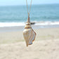 Jewelry Shell Conch Long Necklace Female Personality Creative Accessories Pendant Clavicle Chain