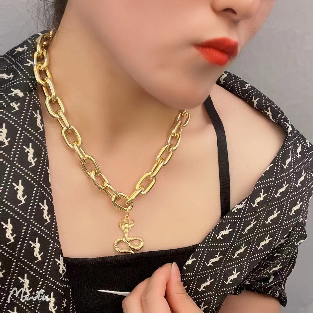 Jewelry explosive ins exaggerated flat head snake necklace wild snake necklace