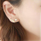 Earrings Exquisite Feather Shape Stud Earrings Elegant Women Jewelry