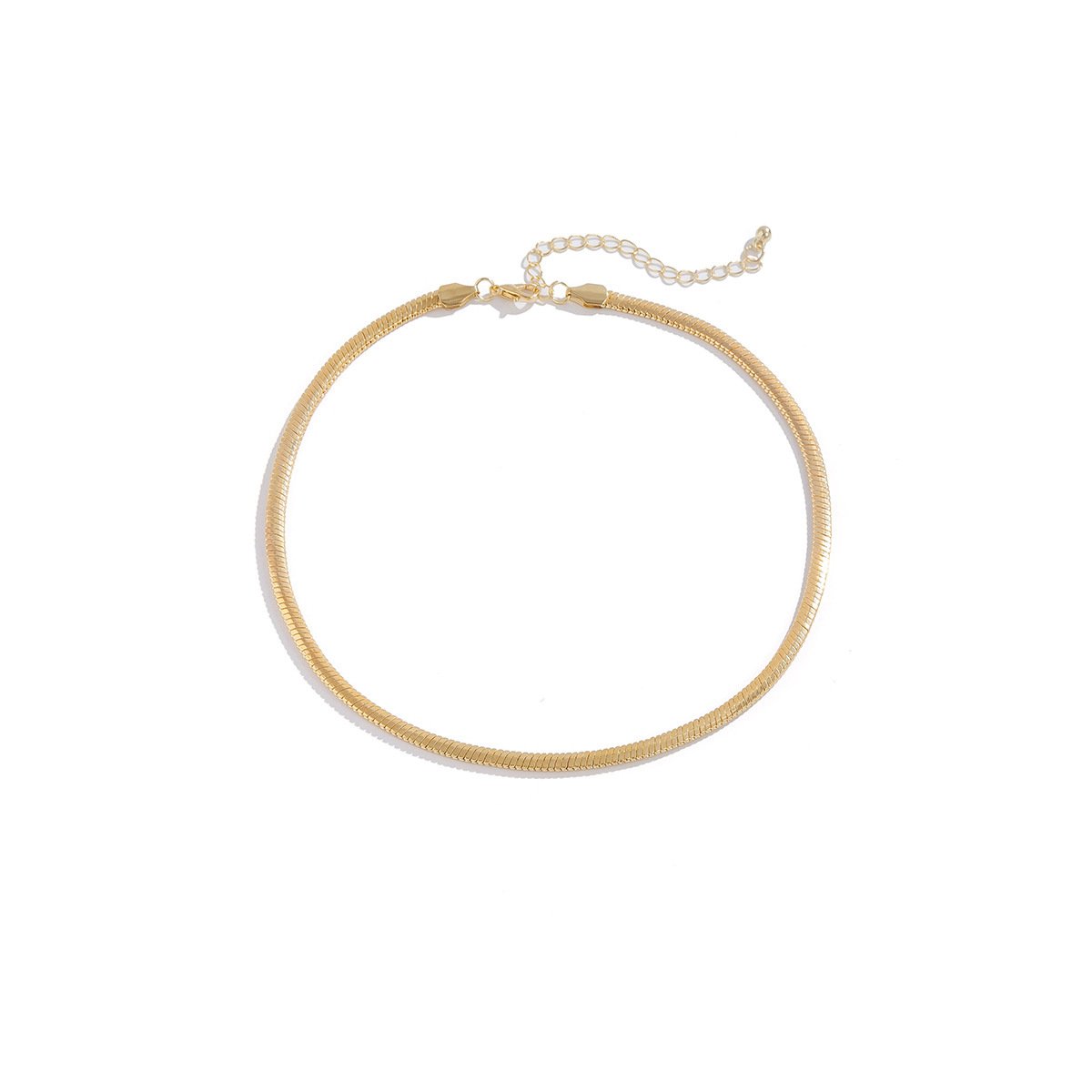 Jewelry Versatile Metal Niche Clavicle Necklace Simple Sweet Cool Snake Bone Chain Single Layer Necklace Female