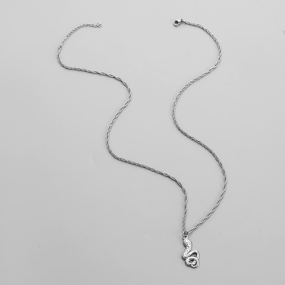 Fashion simple punk personality niche design men's stainless steel winding snake pendant titanium steel necklace