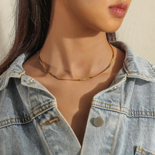 Ins niche light luxury stainless steel gold flat snake chain simple titanium steel snake bone chain temperament collarbone necklace