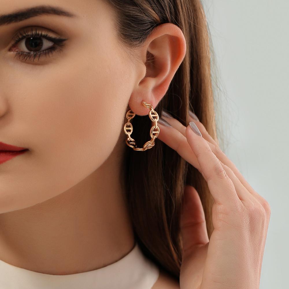 Exaggerated geometric hollow earrings cold C-shaped pig nose earrings net red trend metal earrings accessories