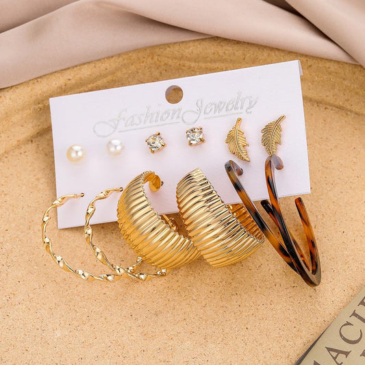 Simple trendy retro leopard print acrylic leaves C-shaped earrings beautiful earrings set for women