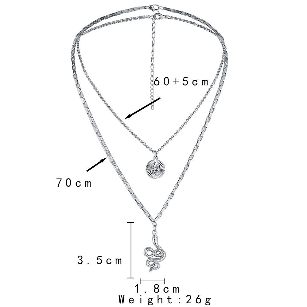 Domineering men's simple personality double-layer stainless steel coin totem pendant niche design snake stacked necklace