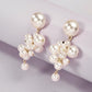 E8291 Dongdaemun Sweet Temperament Long Earring Fashion Imitation Pearl Grape String Earrings