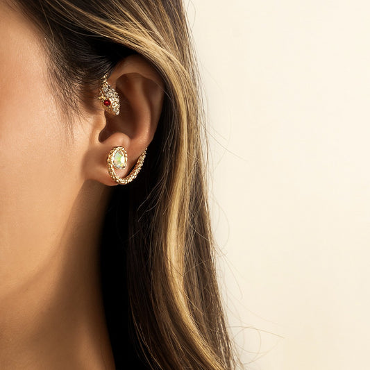Jewelry Fashion Street Shooting Geometric Metal Earrings Earrings Hip Hop Simple Diamond Snake Earrings Female
