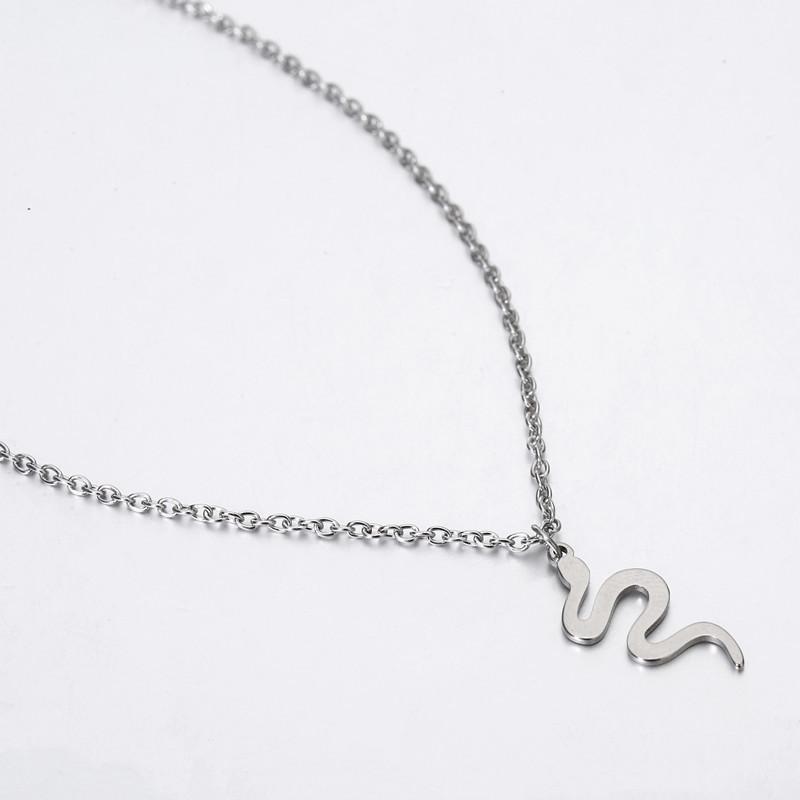 Necklace female ins snake pendant necklace jewelry choker personality exaggerated titanium steel collarbone necklace