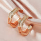 Ins geometric C-shaped hoop earrings female retro exaggerated personality metal braided earrings punk hip-hop earrings