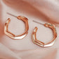 Exaggerated C-shaped geometric earrings ins cold personality retro metal earrings earrings female