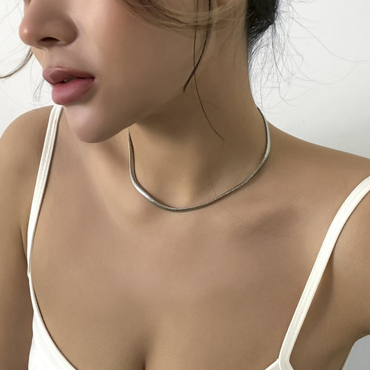Jewelry Versatile Metal Niche Clavicle Necklace Simple Sweet Cool Snake Bone Chain Single Layer Necklace Female