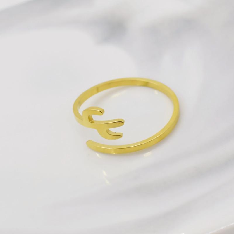 Titanium steel jewelry simple personality opening cactus ring female