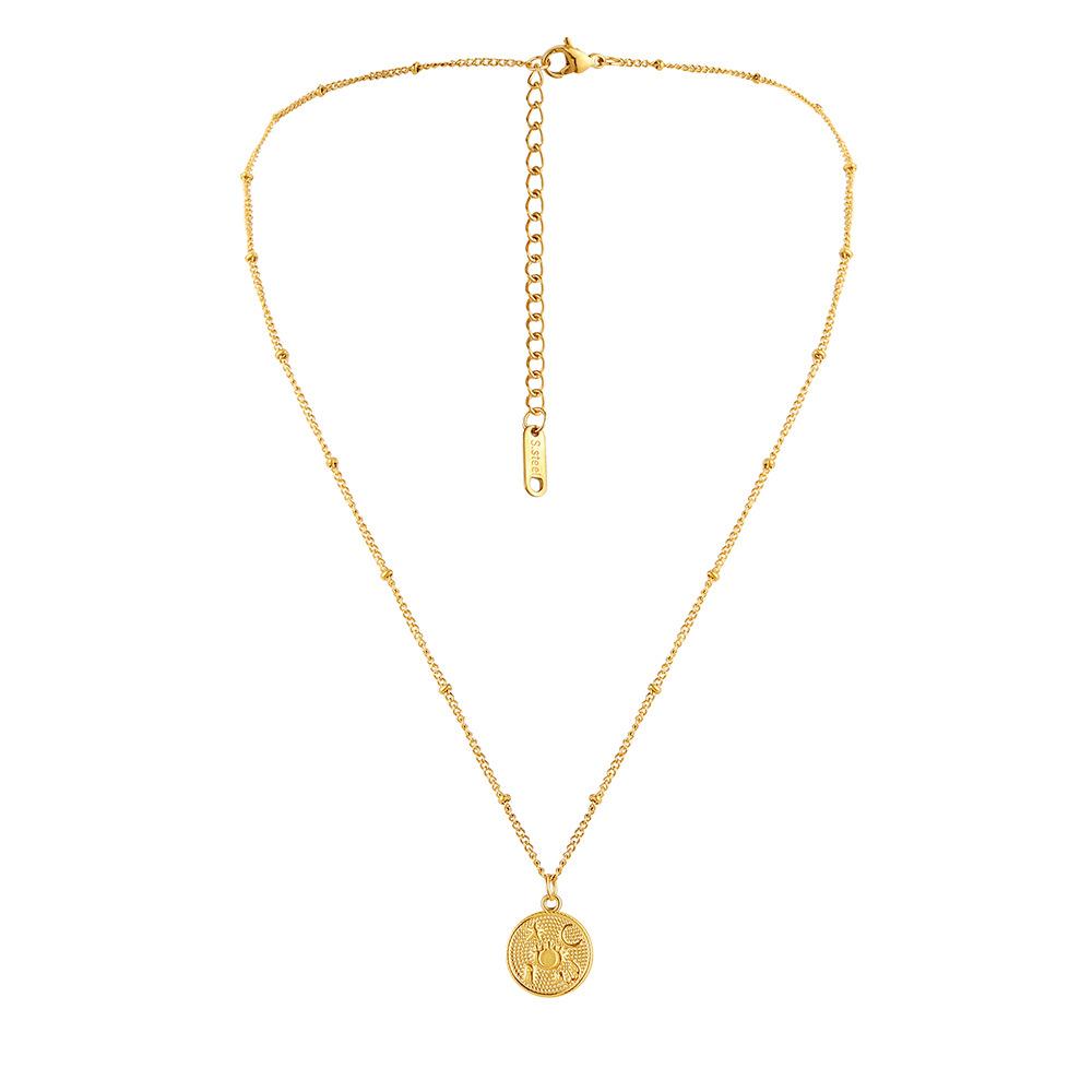 Fashion Simple Stainless Steel Gold Vintage Coin Pictogram Choker Necklace for Women