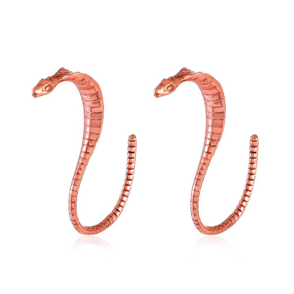 Retro metal snake earrings national personality exaggerated cobra earrings ins design sense earrings