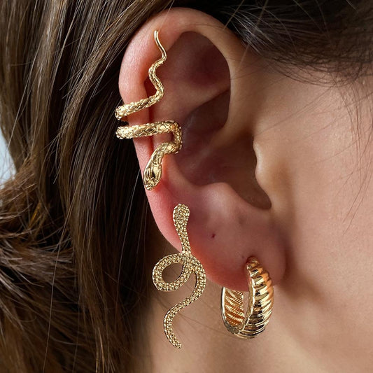 Retro snake set earrings cold fashion three-piece earrings net red ins snake ear clip
