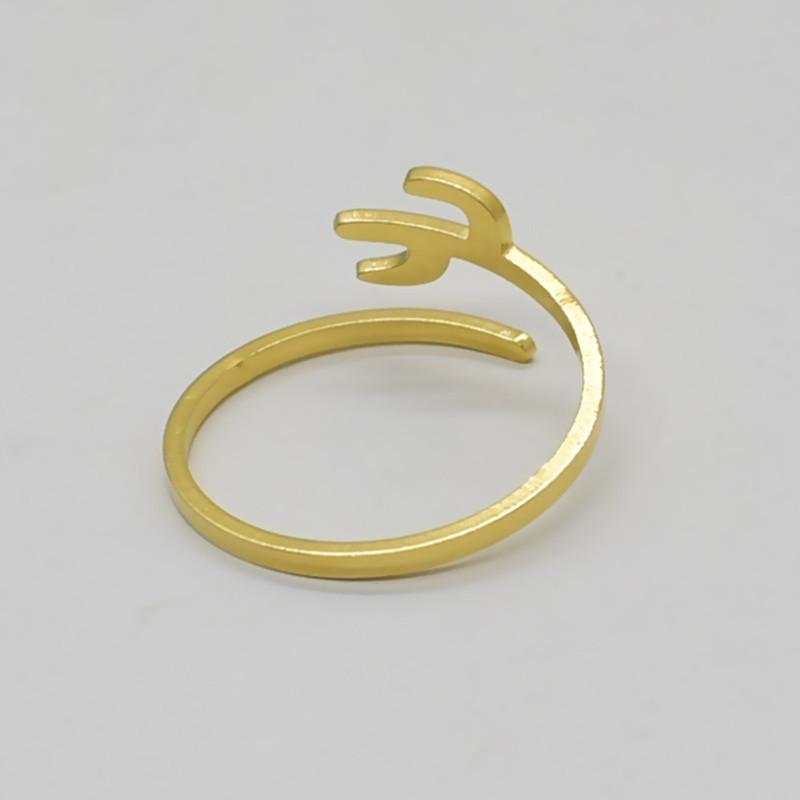 Titanium steel jewelry simple personality opening cactus ring female