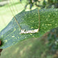Mama letter titanium steel necklace female "I love mom" Mother's Day gift necklace