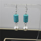High-gloss imitation pearl earrings natural turquoise earrings star earrings with the same temperament