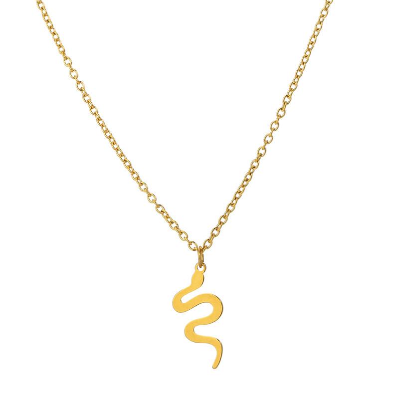 Necklace female ins snake pendant necklace jewelry choker personality exaggerated titanium steel collarbone necklace