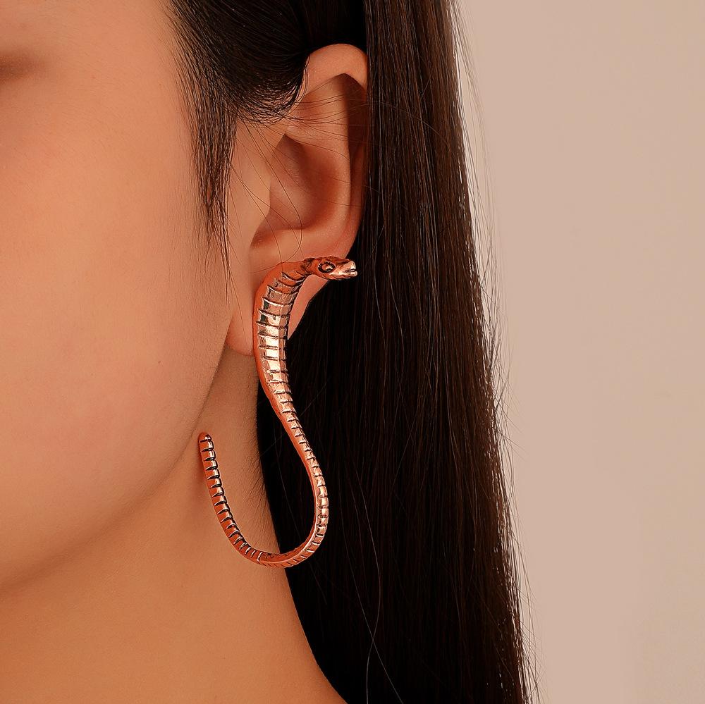 Retro metal snake earrings national personality exaggerated cobra earrings ins design sense earrings