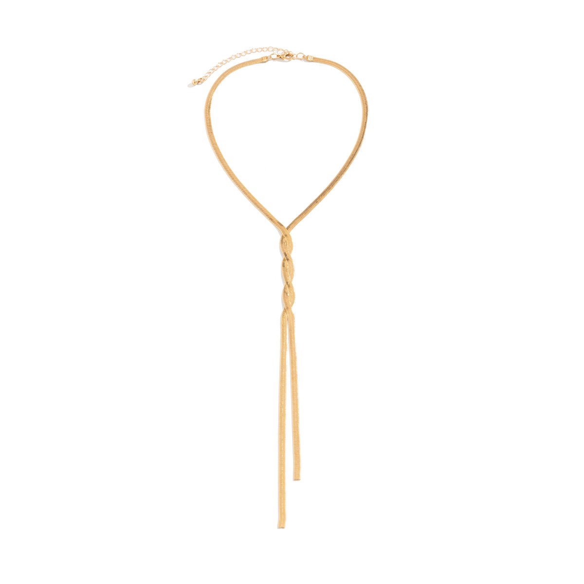 Jewelry Hip Hop Metal Snake Bone Chain Necklace Trend Geometric Long Braided Clavicle Necklace