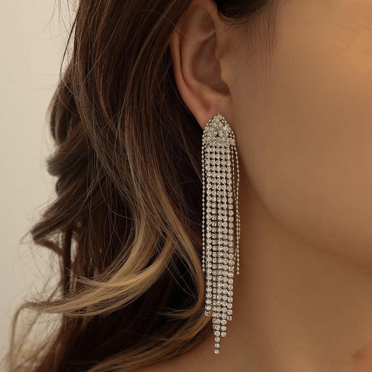 Explosive models full of diamond tassels long earrings fashion temperament show face small earrings ladies accessories