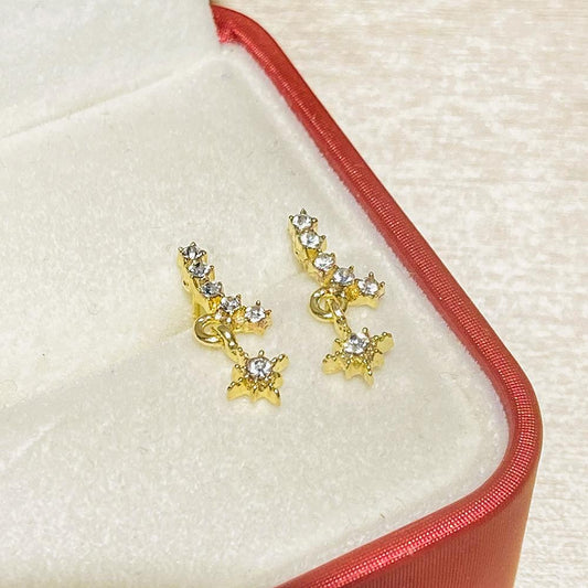 Ins octagonal star earrings female fashion temperament niche design diamond earrings earrings net red earrings trend