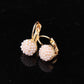 Fashion Round Pearl Earrings Millet Pearl Earrings Simple Popular Stud Earrings Jewelry