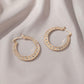 Ins temperament simple earrings classical exaggerated hollow out large circle earrings earrings female accessories