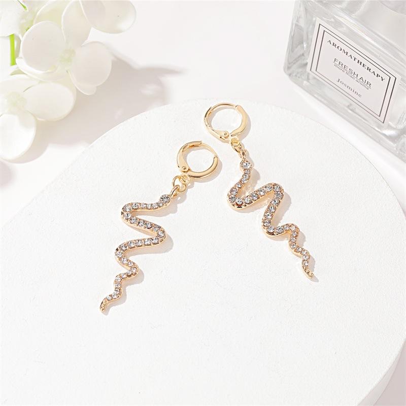 Earrings Creative Snake Earrings Women's Frosty Long Diamond Earrings Personality Simple Wave Earrings