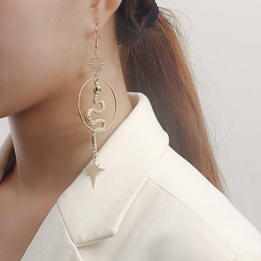 Jewelry geometric large ring serpentine cross star tassel earrings earrings female hot girl earrings